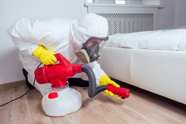 Best Local Pest Control Services  in Greenwich, OH