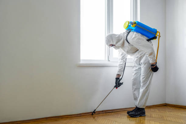 Best Wildlife Control Services  in Greenwich, OH