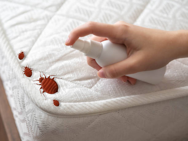 Best Mosquito Control Services  in Greenwich, OH