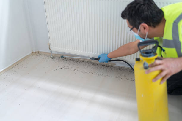 Best Ant Control Services  in Greenwich, OH